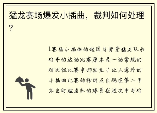 猛龙赛场爆发小插曲，裁判如何处理？