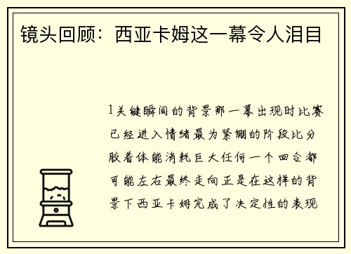 镜头回顾：西亚卡姆这一幕令人泪目